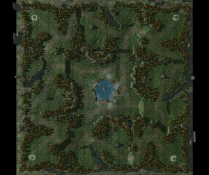 2vs2 - 1vs1 - FFA map forest